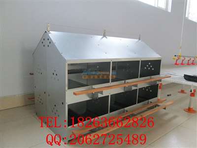 廠家直銷全鍍鋅板產蛋箱,種雞用產蛋箱,產蛋箱廠家