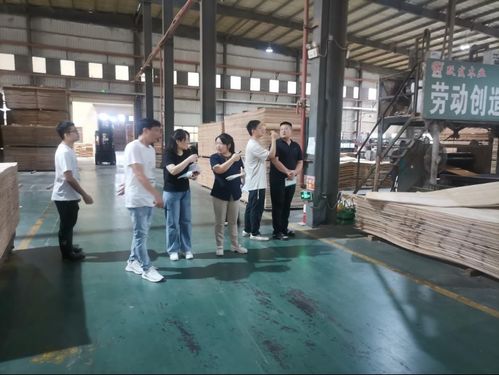 廣西扶綏發出首張人造板產品生產許可證