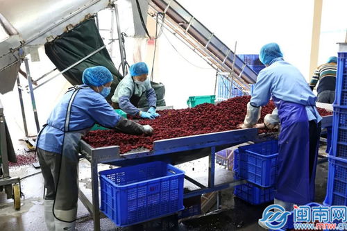 詔安縣縣長(zhǎng)帶隊(duì)調(diào)研企業(yè)復(fù)工復(fù)產(chǎn)情況